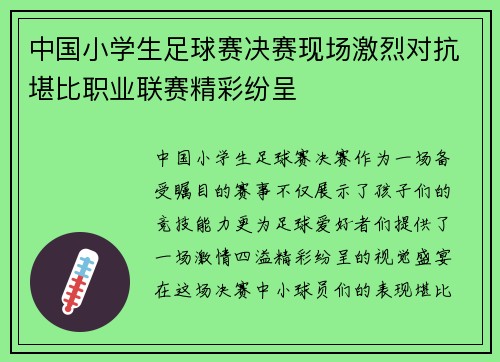 中国小学生足球赛决赛现场激烈对抗堪比职业联赛精彩纷呈