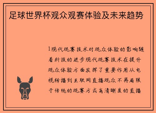 足球世界杯观众观赛体验及未来趋势